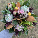 Succulent Bouquets  thumbnail