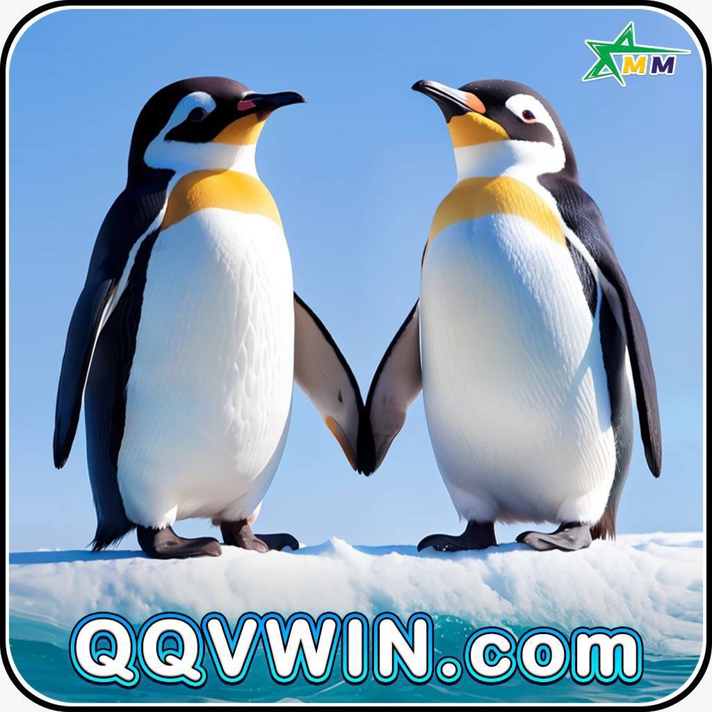 QQVWIN - MM thumbnail
