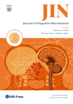 The Neurophysiological Impact of Touch-Based Therapy: Insights and Clinical Benefits thumbnail