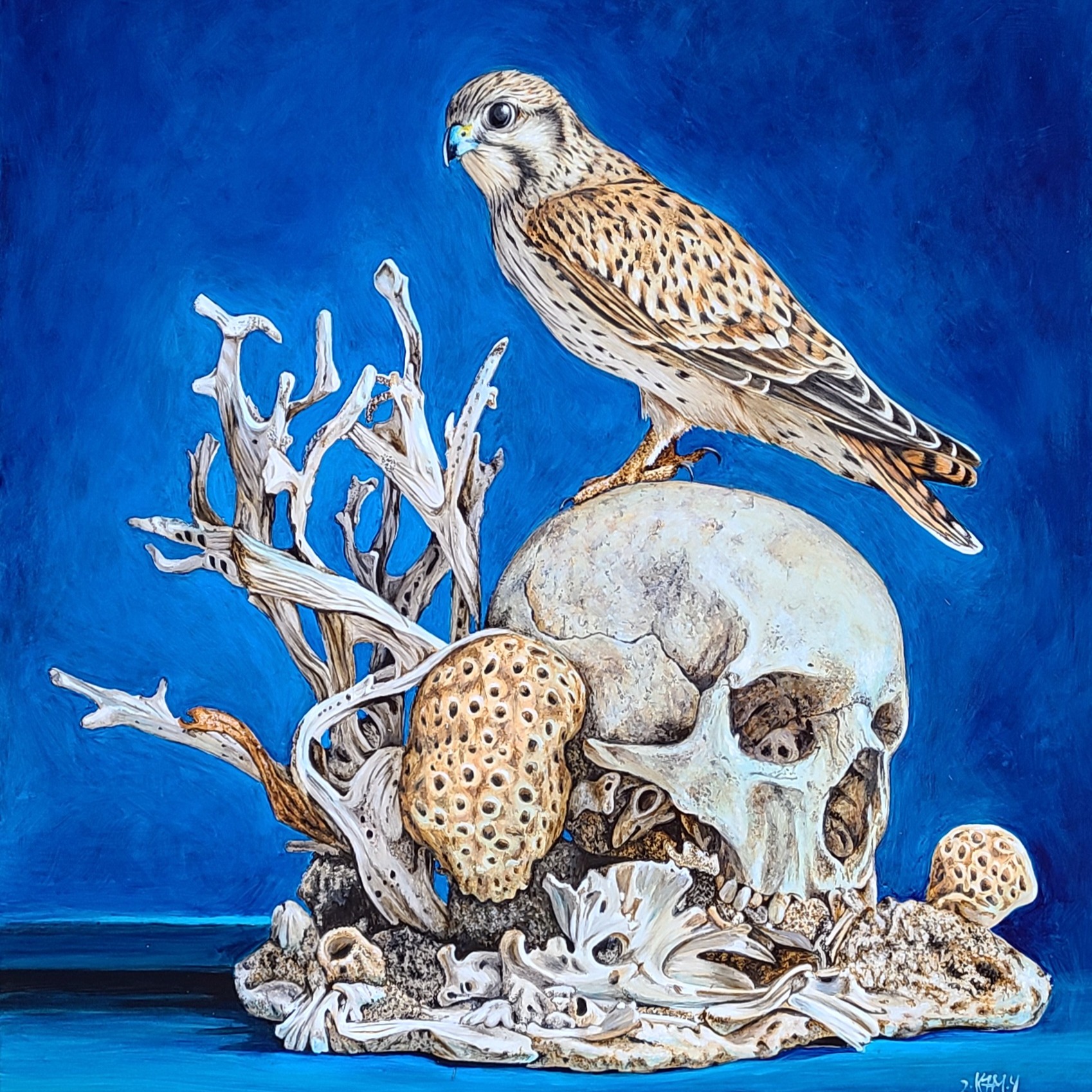 • CONTACT • thumbnail