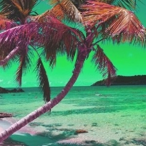 • SHOP DIGITAL ART PRINTS thumbnail