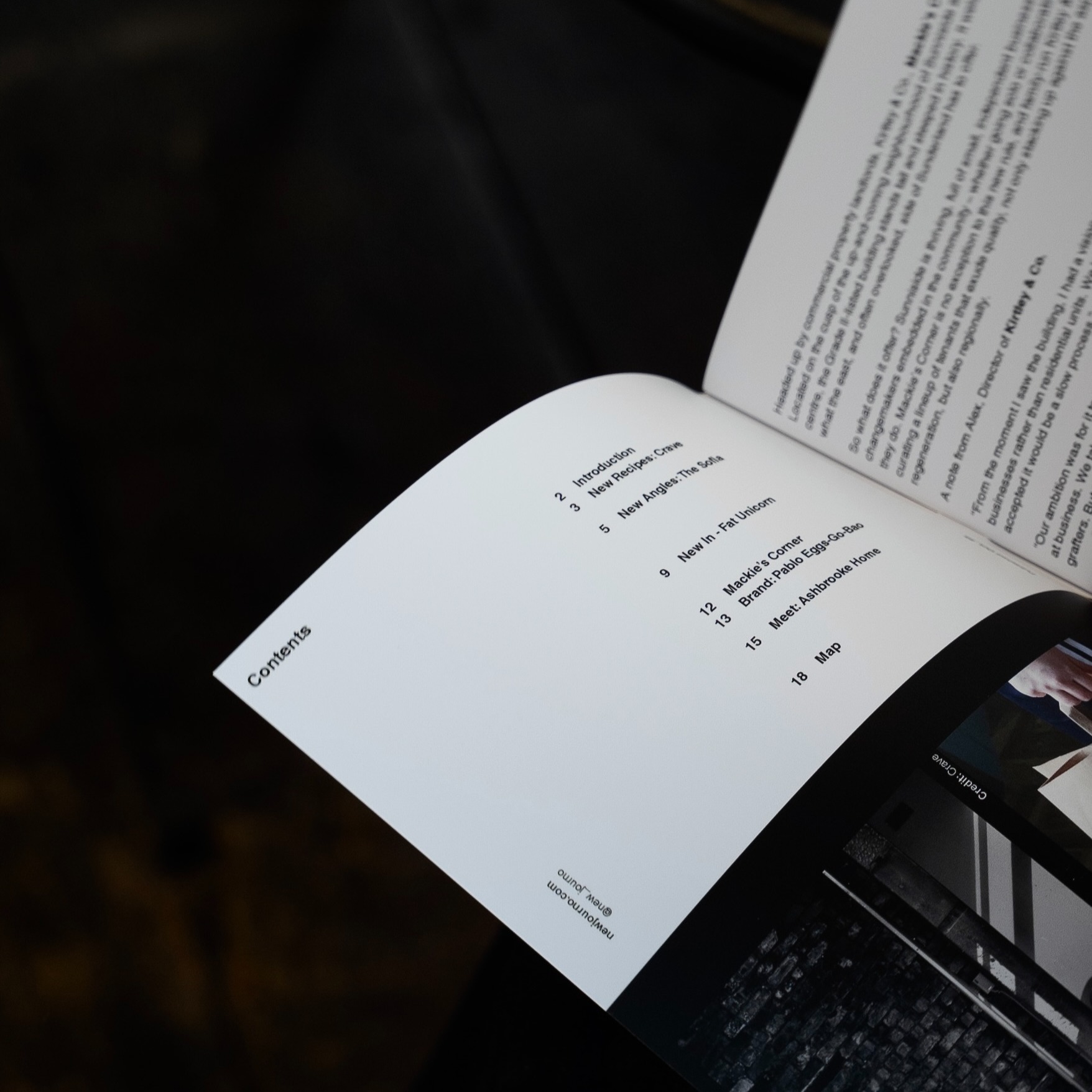 New_Zine: Inside Sunniside [Ed III] thumbnail