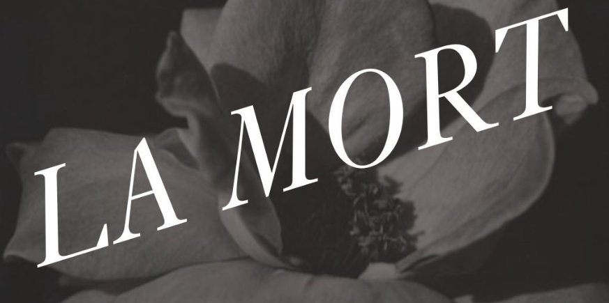 Tarot for Thresholds — LA MORT thumbnail