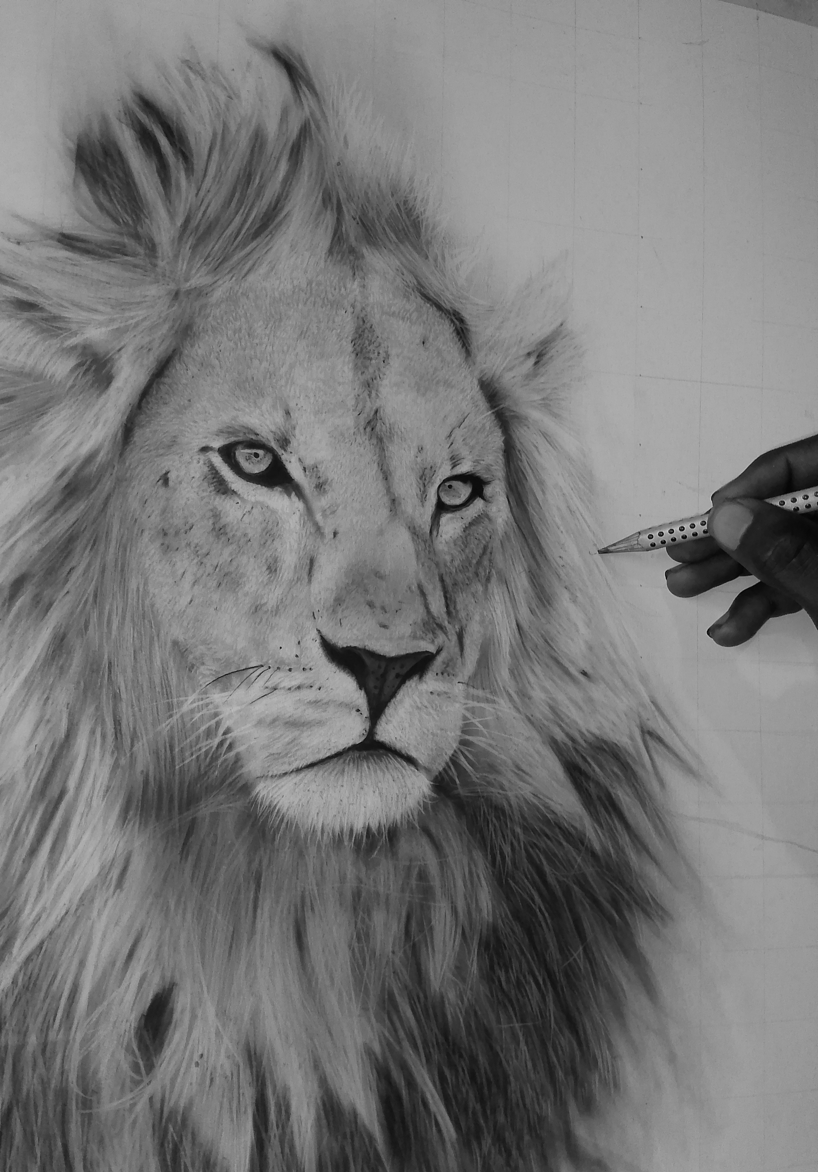 Animal art thumbnail