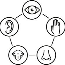 Senses-Based Learning – Education thumbnail
