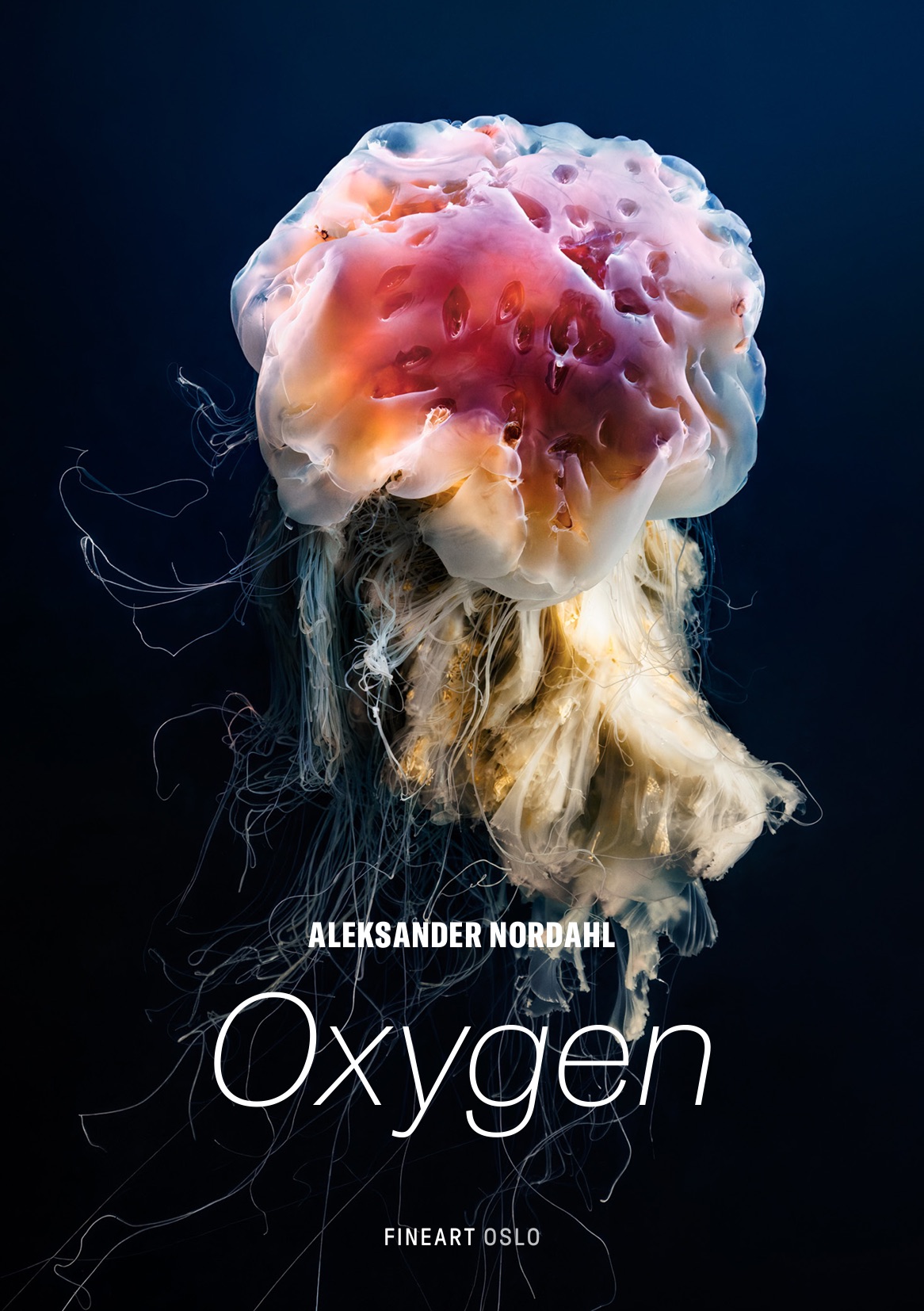 NEW EXHIBITION «»OXYGEN»  AT FINEART OSLO thumbnail
