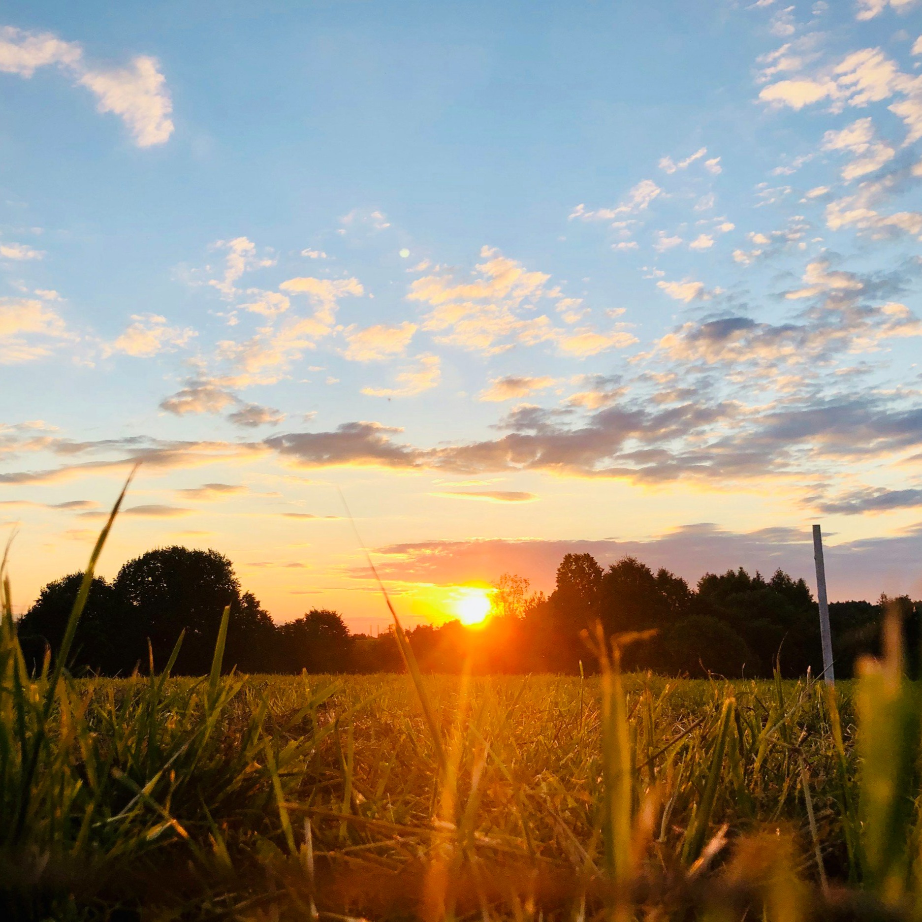 Sustained Mentoring Down Under Groups thumbnail