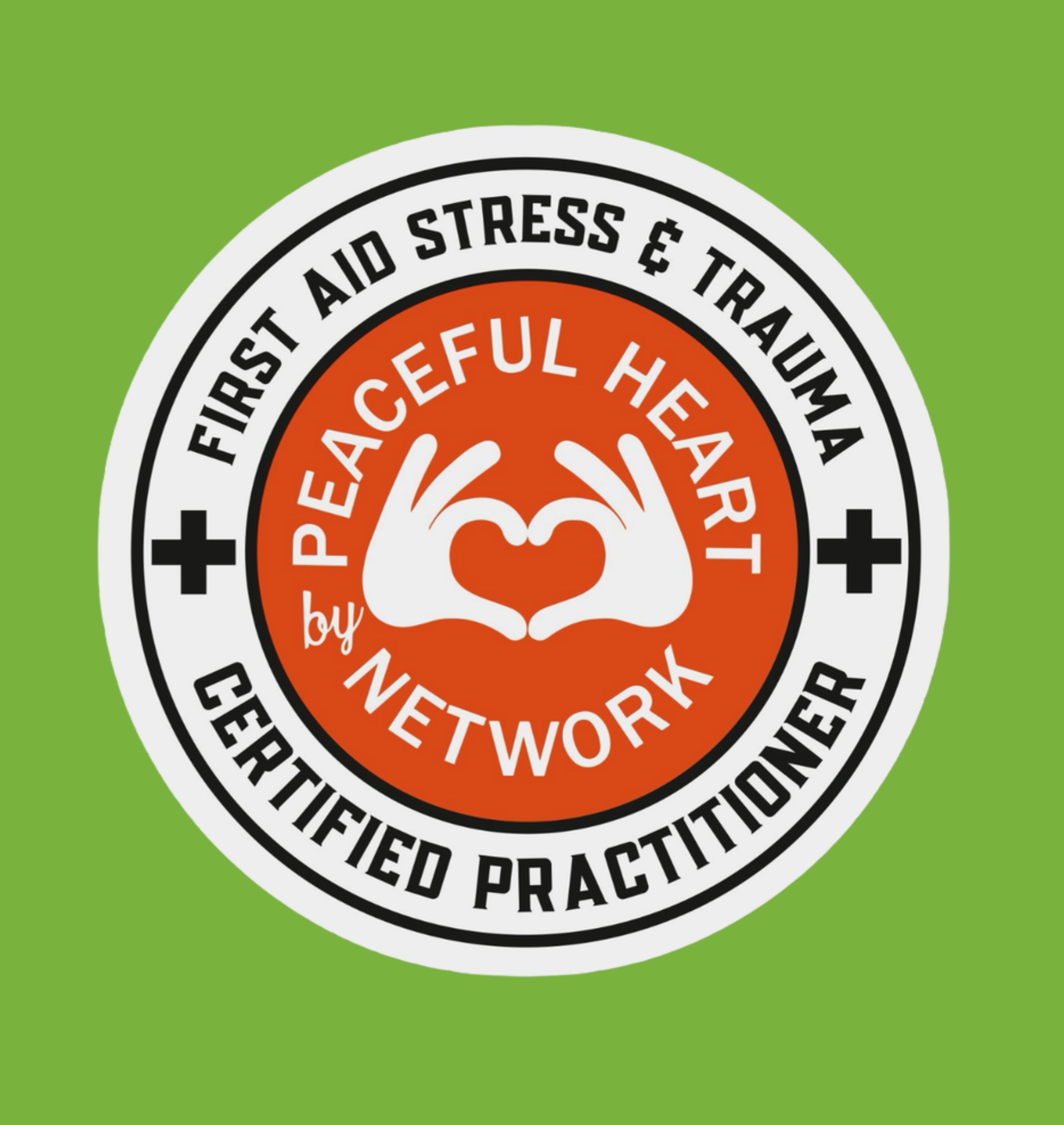 FAST (First-Aid for Stress and Trauma) Group Training thumbnail