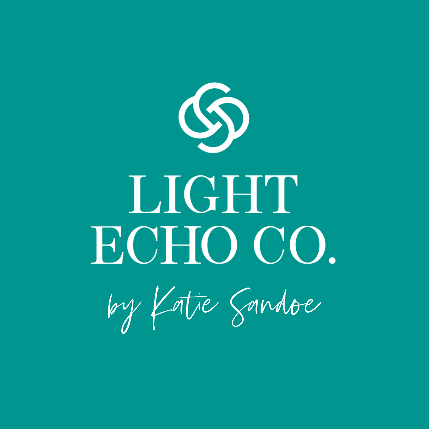 Light Echo Co. Website thumbnail