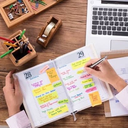 Study plans postgraduate (SET) thumbnail