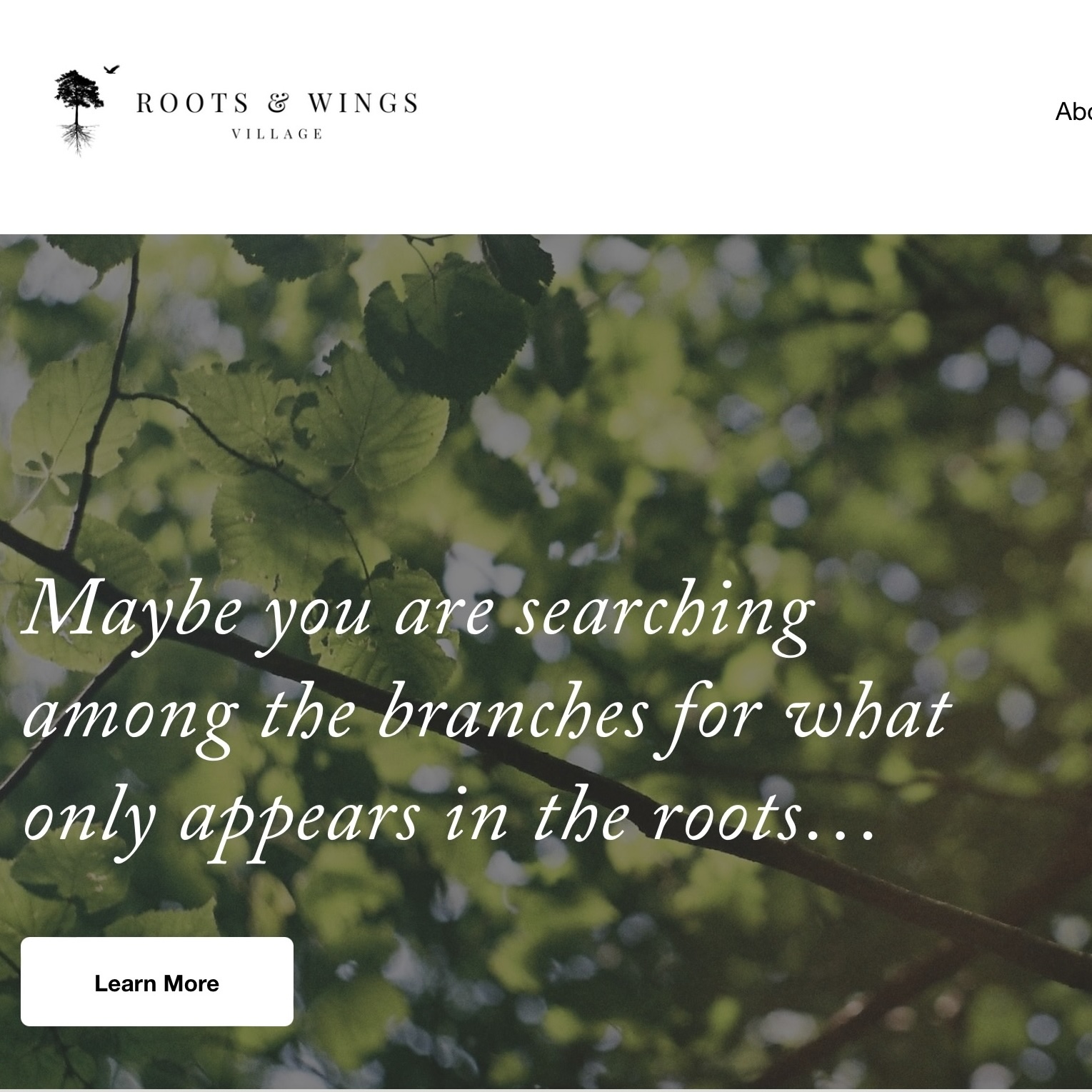Roots & Wings Village Website thumbnail