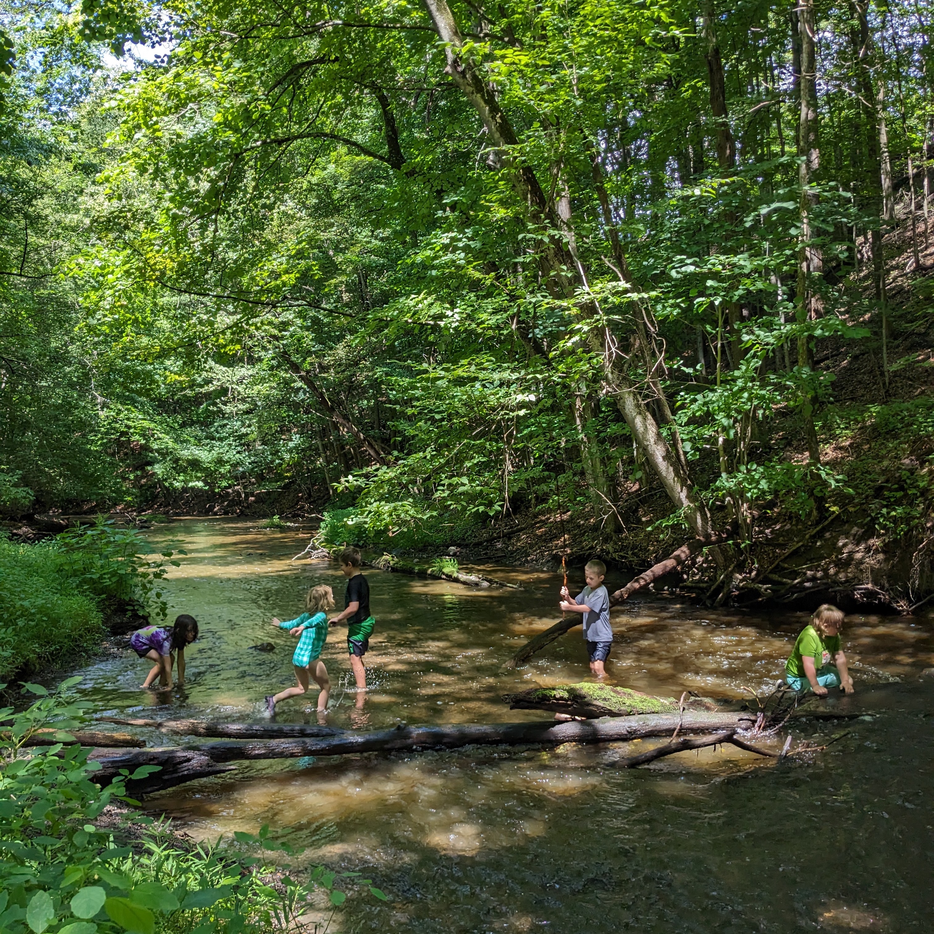 Creek Camp 2025 thumbnail