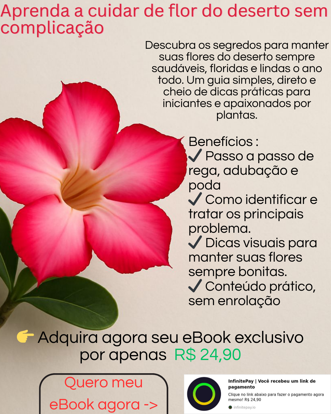 Manual de como cuidar de Flores do Deserto - Clique aqui para comprar! thumbnail