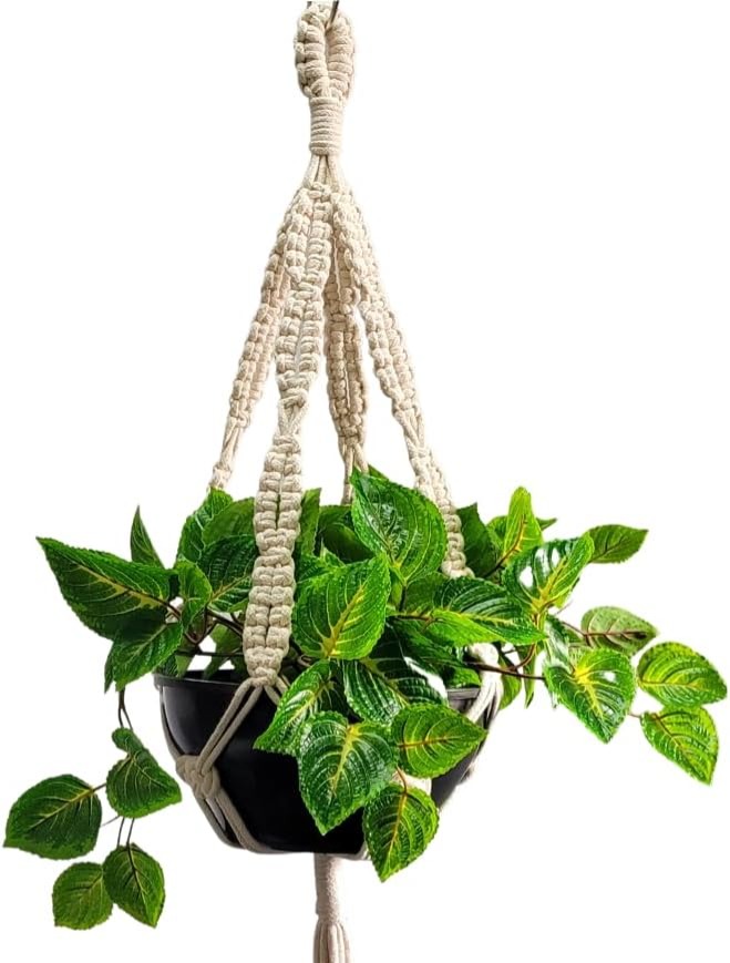 Suporte de Plantas em Macramê - Pendente Vasos Cachepots - Modelo MASC-G : Amazon.com.br: Jardim e Piscina thumbnail