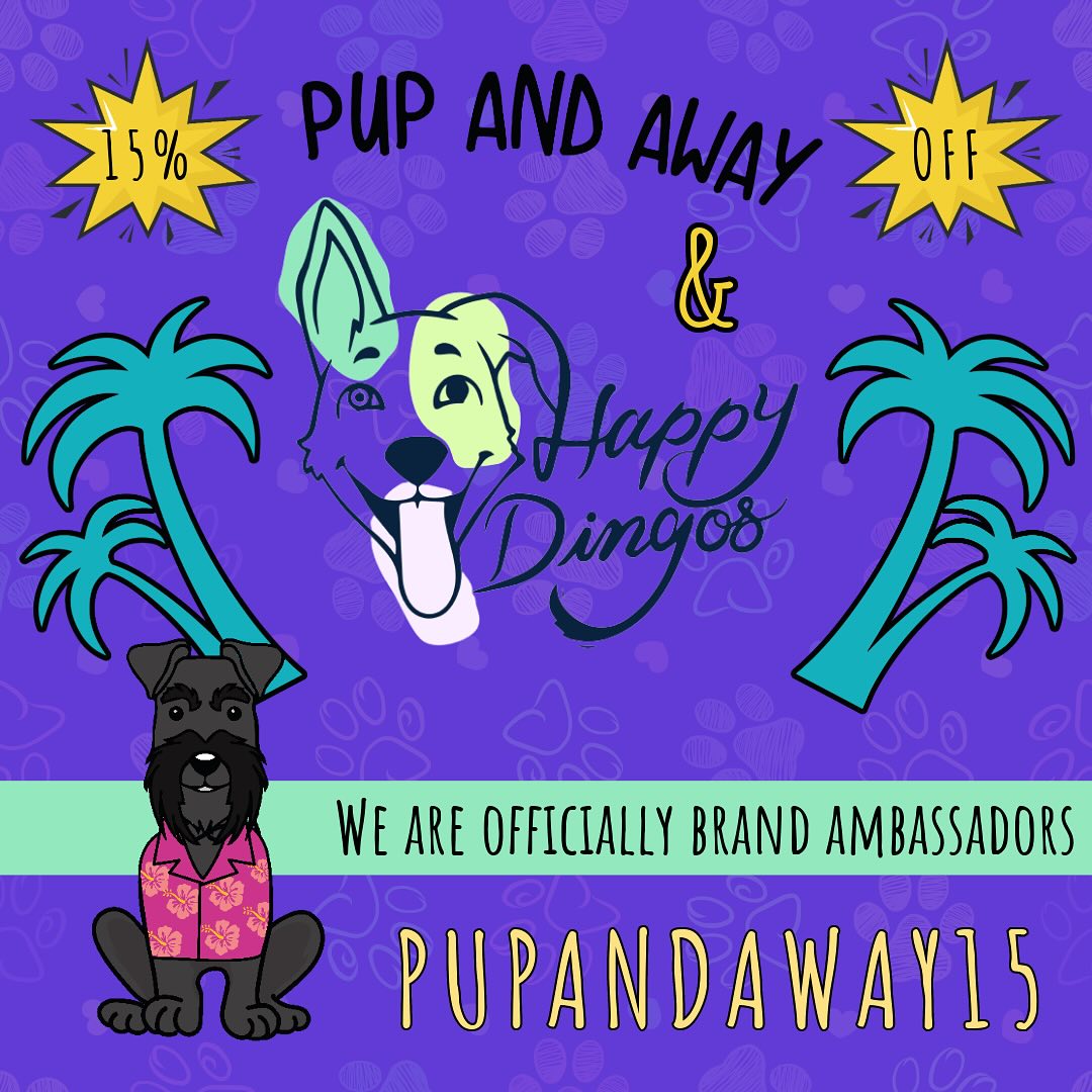 The news is… we are officially brand ambassadors for @happydingos! We use and love @happydingos products in our home and