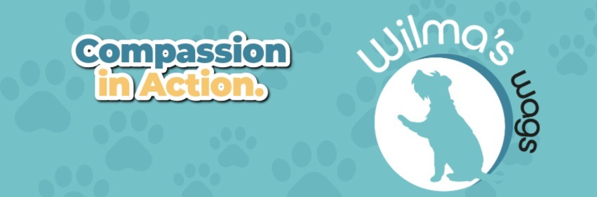 Help Wilma's Wags Support Families and their Pets thumbnail