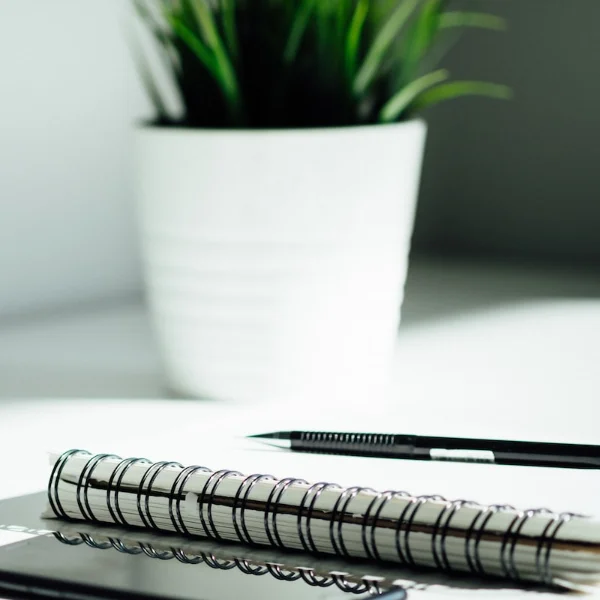 The Seshh Blog thumbnail