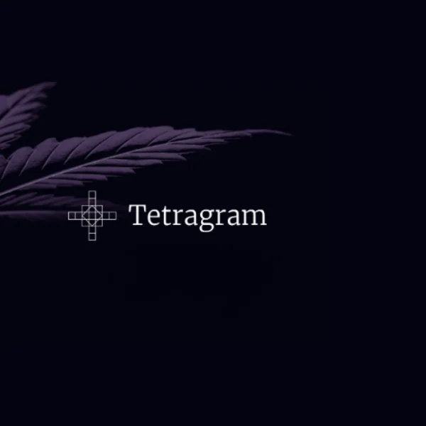 Responsible Consumption thumbnail