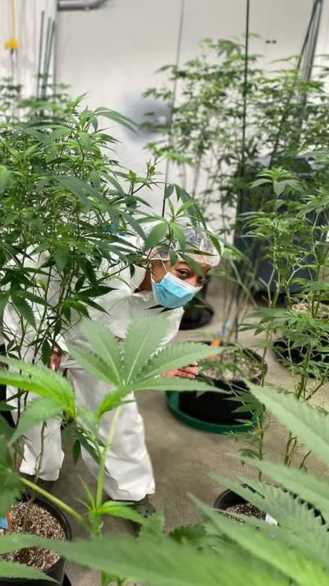 We’re thrilled to share our thoughts with you. As sommeliers and wellness educators, we’re diving deep into @elo.main pr