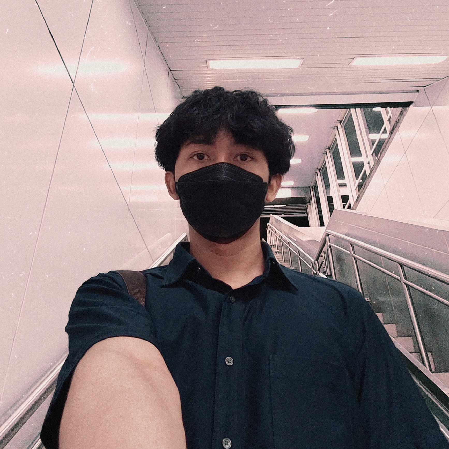 BioSite profile picture for @pasta