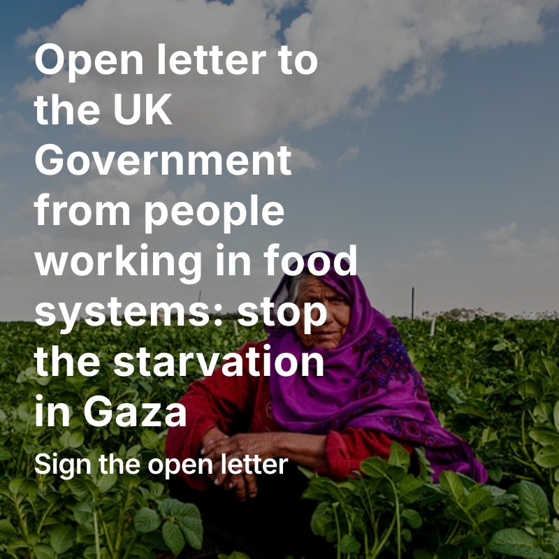 Open Letter To UK Government - Food Justice in Palestine thumbnail