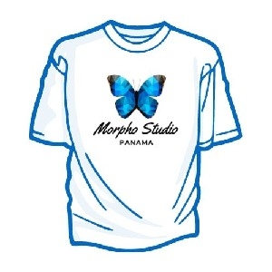 T-shirts y Gorras para votantes conscientes  thumbnail