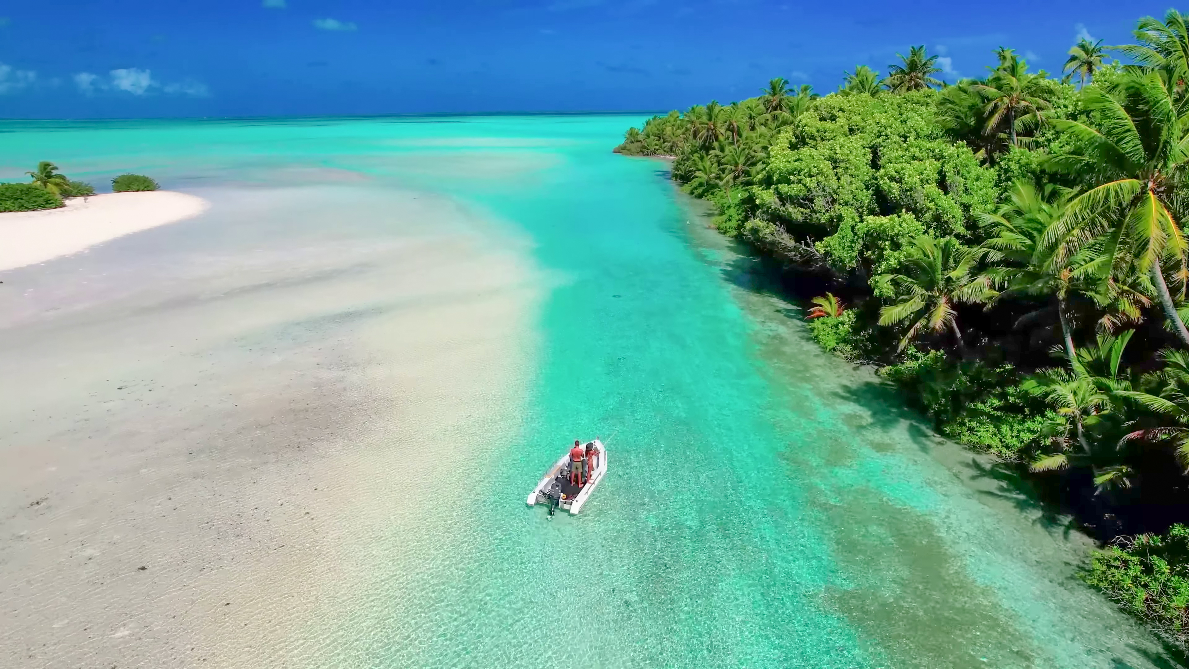 HELP PURCHASE AND MANAGE AN ISLAND FOR PERMANENT MARINE CONSERVATION thumbnail