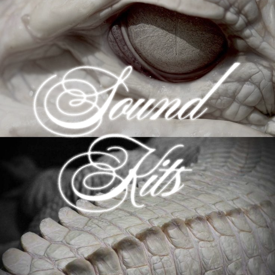 Arcane Audio (download my sounds) thumbnail