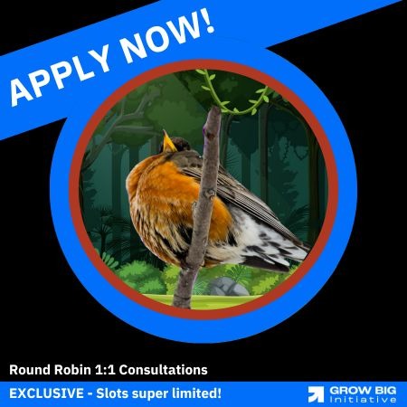 Round Robin 1:1 Consultations thumbnail