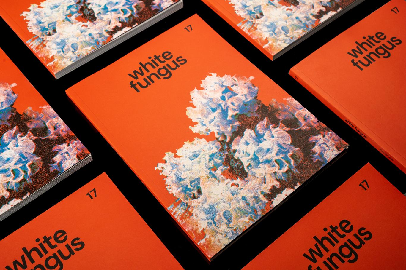 White Fungus 白木耳 thumbnail