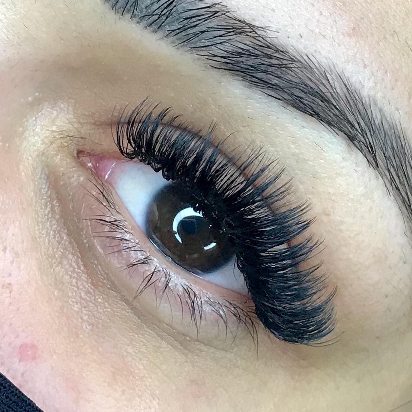 ⚜️Volume russo 
Efeito moderado 🦋🥰

.
.
.
.
.
#bcmilgrau #ciliosfioafio #lashlifting #volumerusso #itajaisc #balneárioca