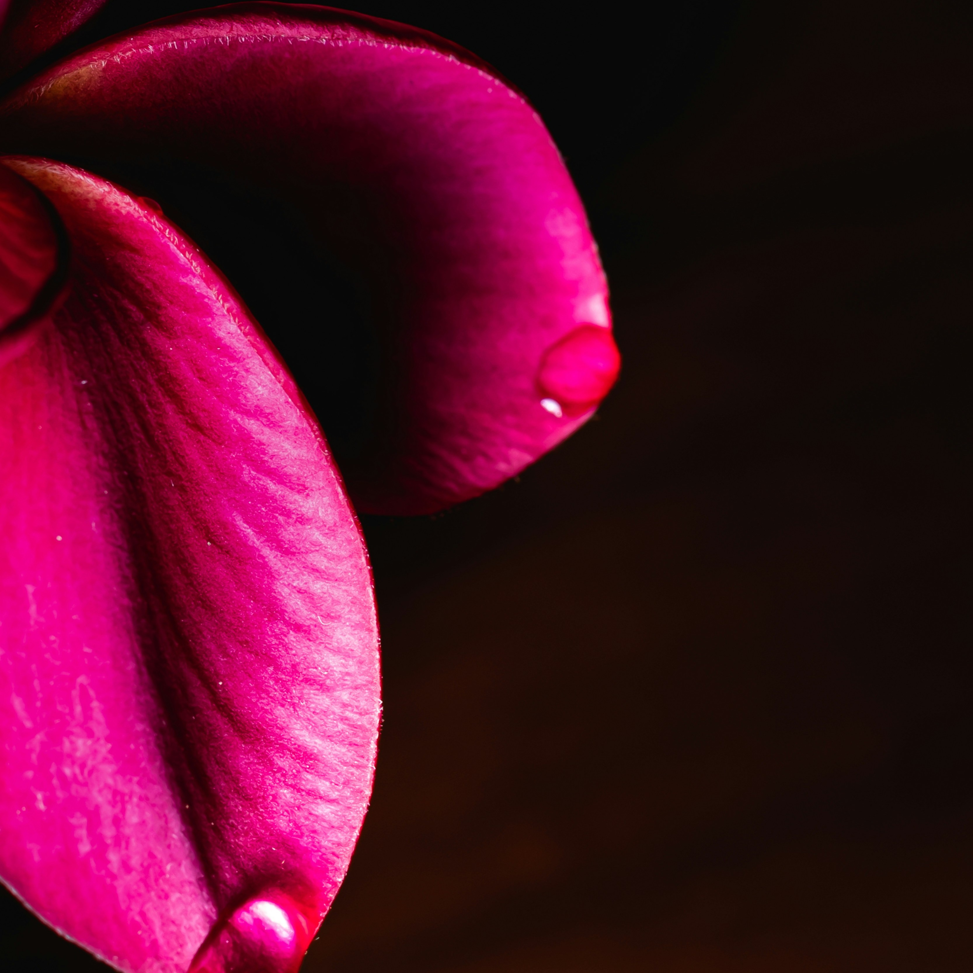 From Silent Suffering to Sacred Pleasure: Goddess Brittney's Vulnerable Truth - Honest Feedback thumbnail