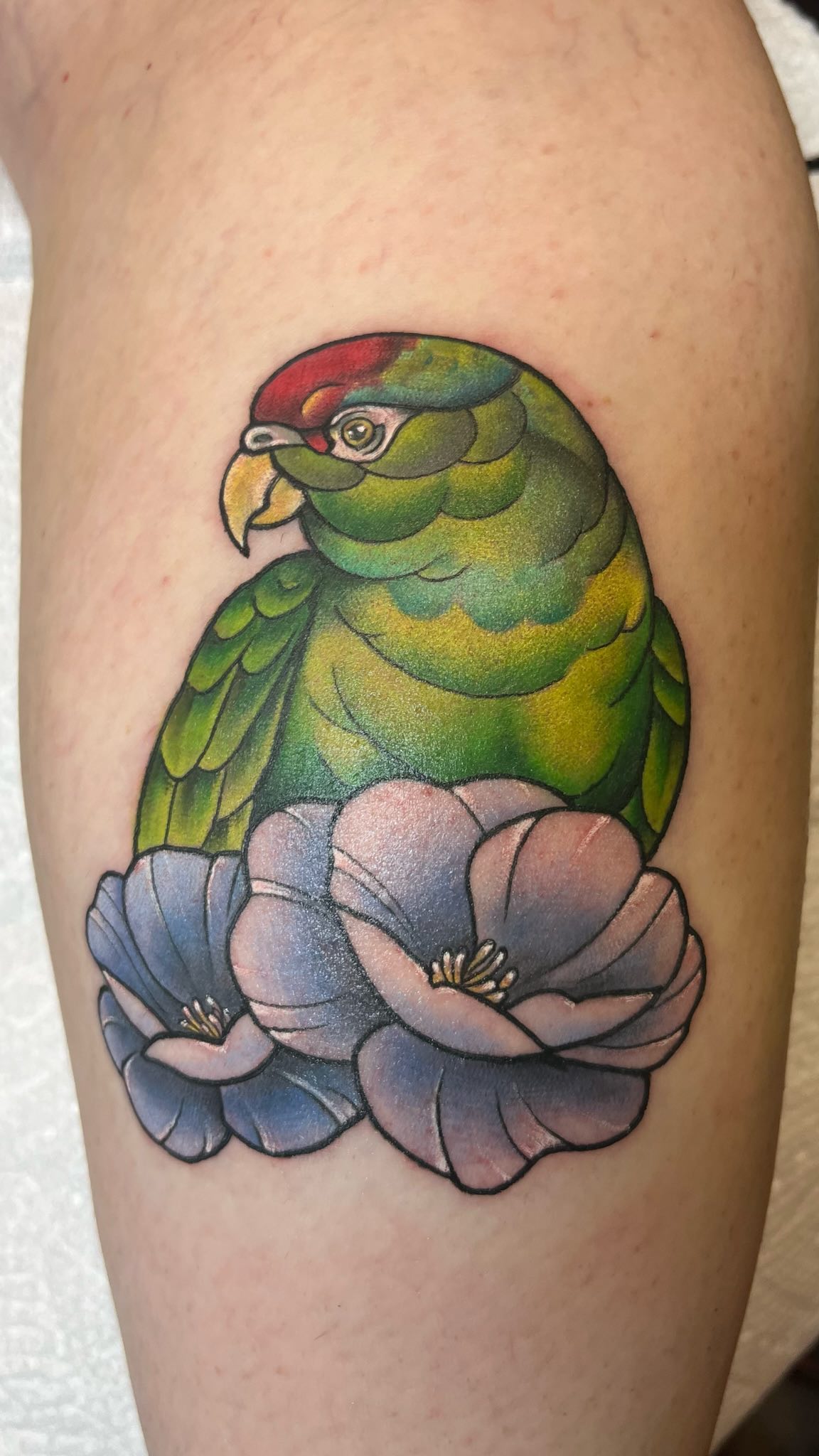 I’m almost finished uploading older reels, then on to the growing back log of newer tattoos. I really love how this parr