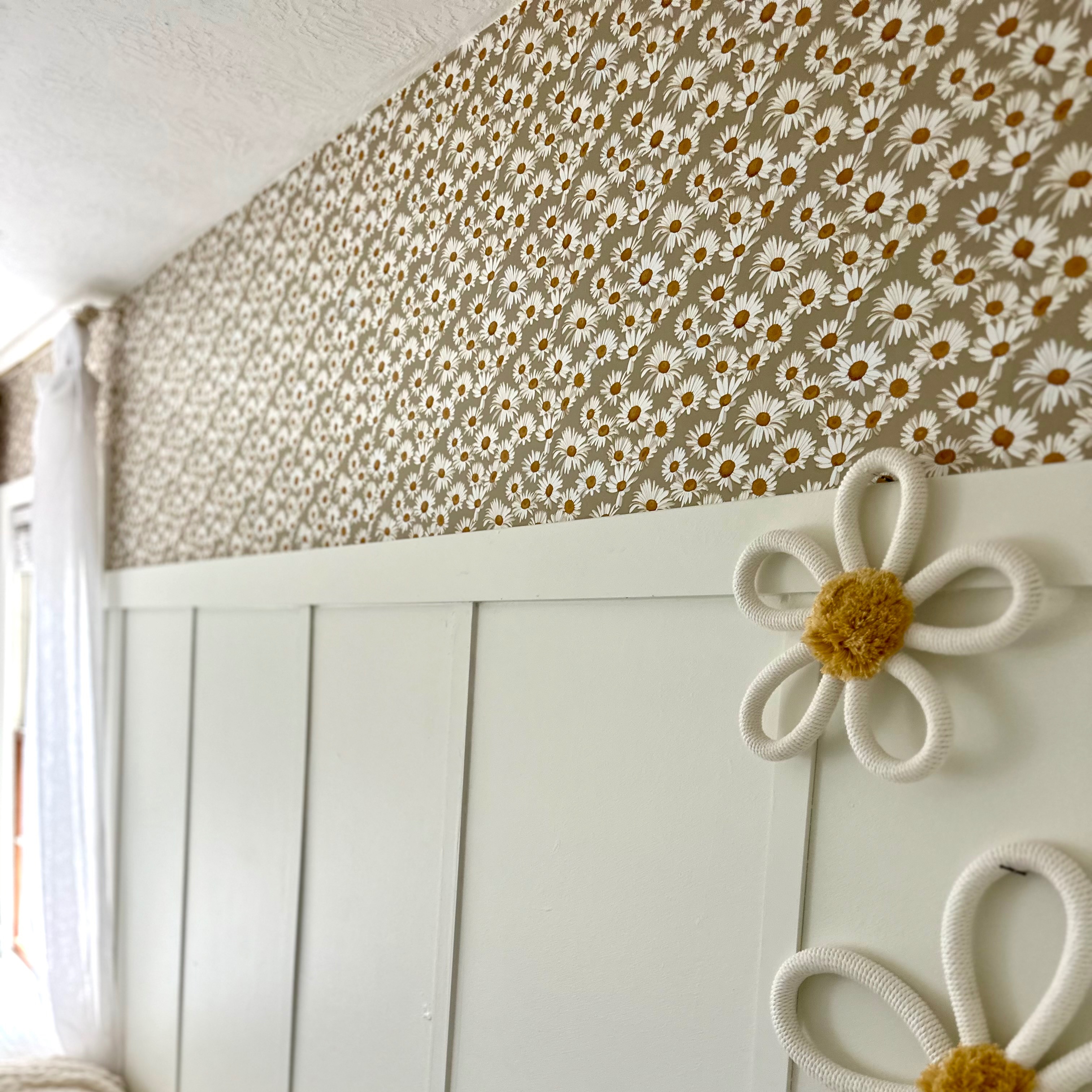 Daisy Big Kid Room thumbnail