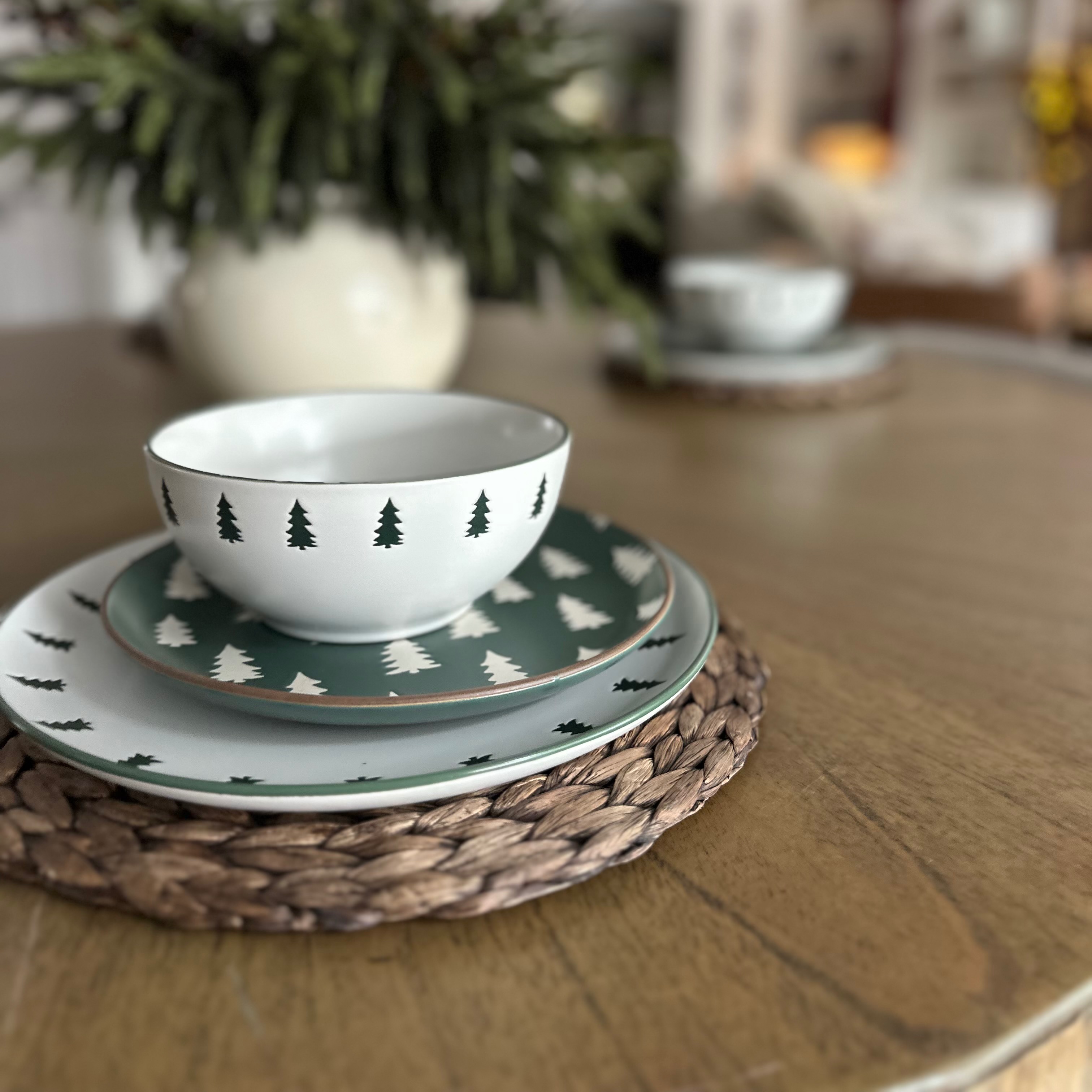 CB winter plates dupe thumbnail