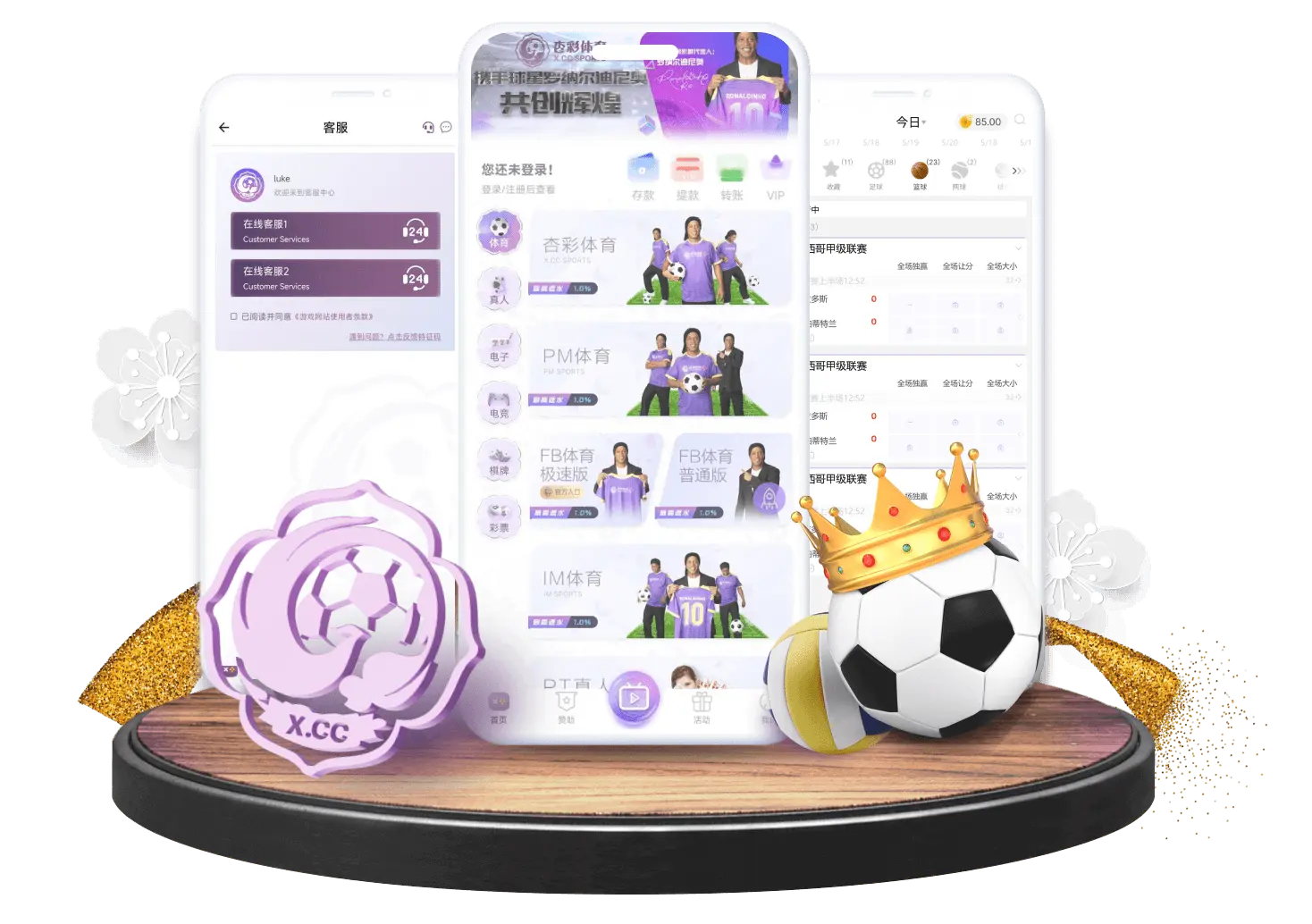 杏彩体育 thumbnail