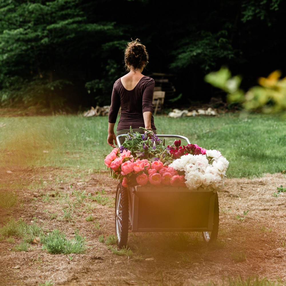 What I Wish I Knew Before Starting a Flower Farm | free guide thumbnail