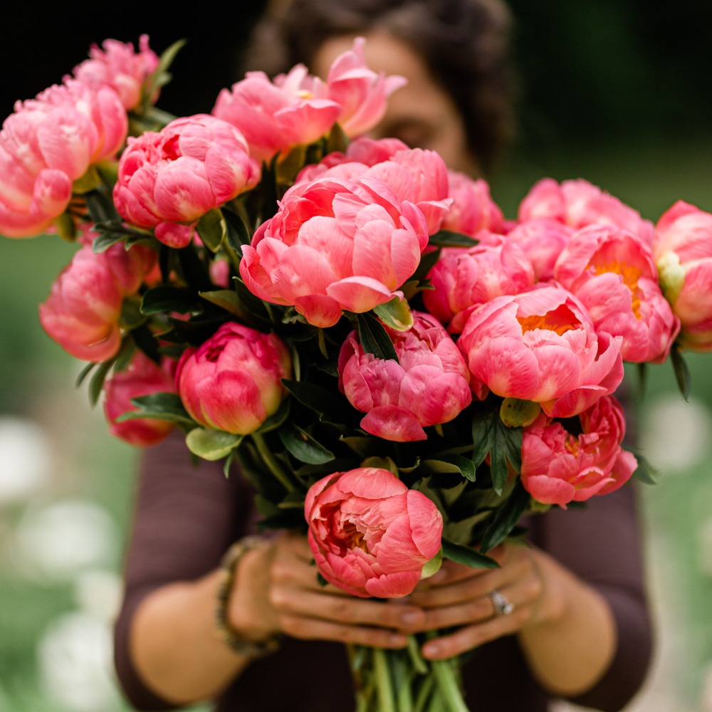 The Peony Course  thumbnail