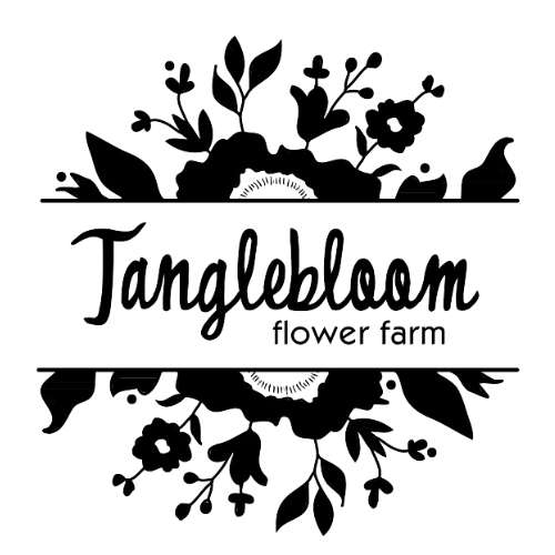 Visit our website thumbnail
