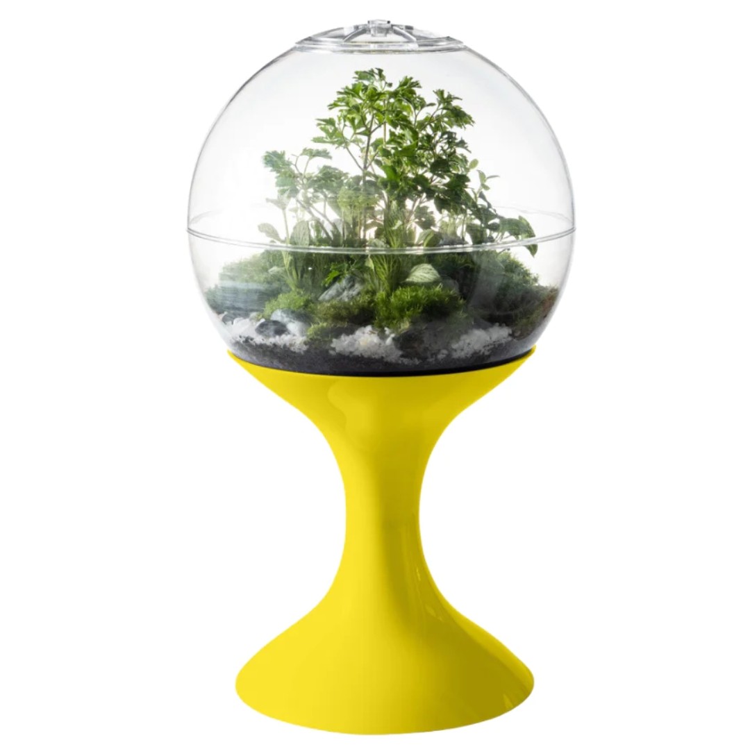 ✨ Potifiv Terrarium  thumbnail