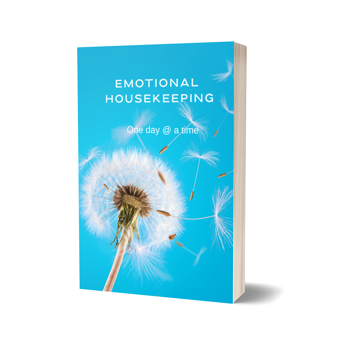 EMOTIONAL HOUSEKEEPING  thumbnail