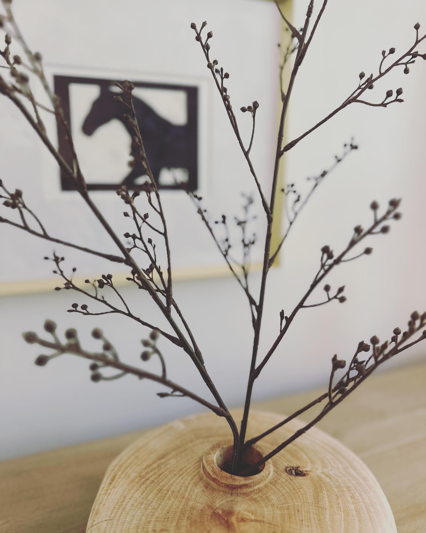 Simple, delicate and beautiful.  Found this beautiful wooden vase at HomeSense and added a branch.  I love it!  #wooddes