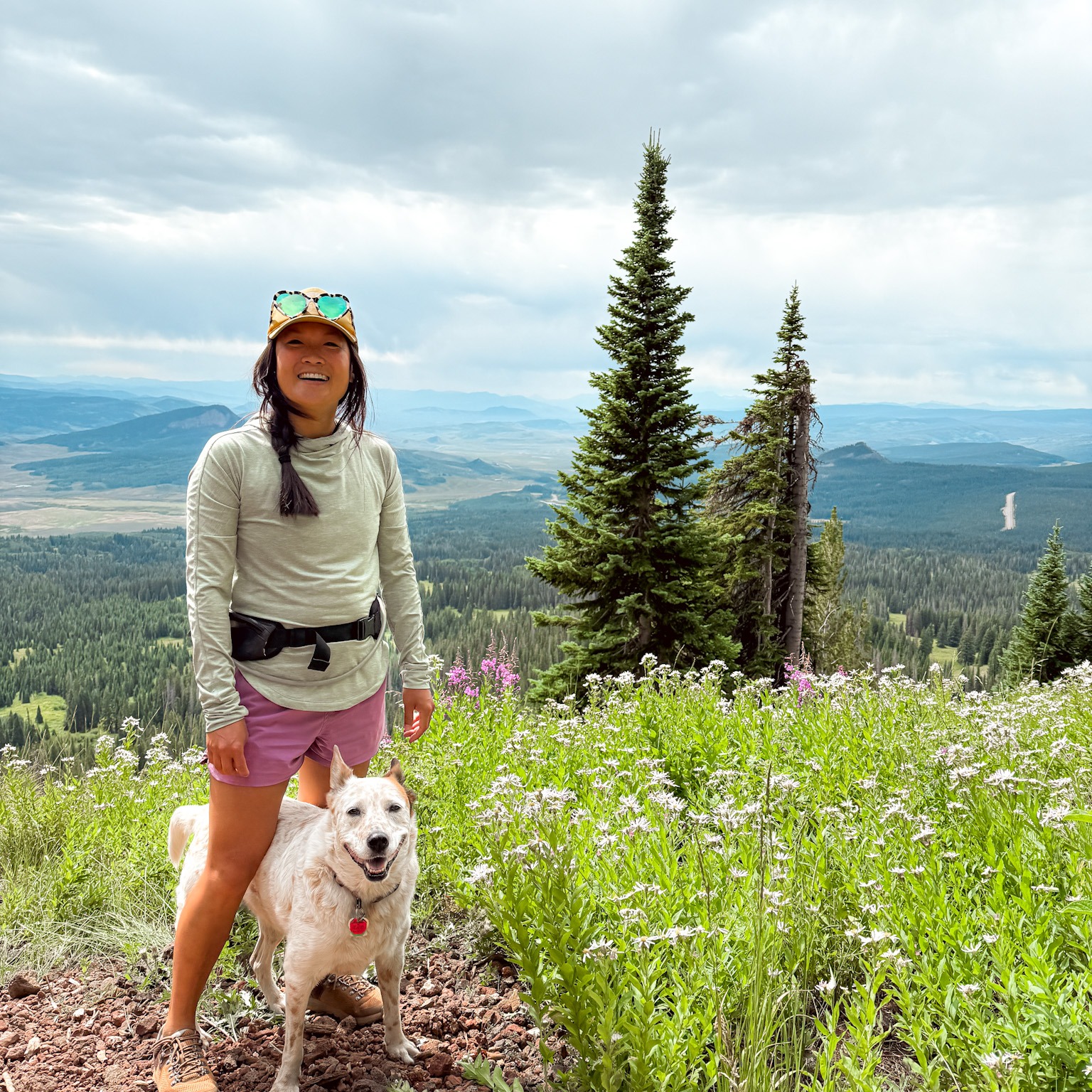 🥾 Get the FREE Rewilding Trail Map thumbnail