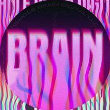 Whole Brain Digital: Top Clients thumbnail