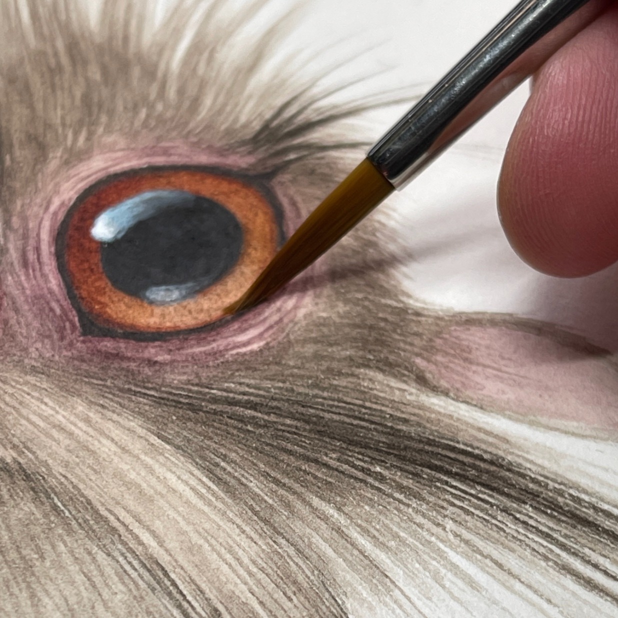 Savage Strangehollow Now Live On Kickstarter! thumbnail