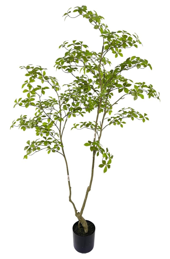 Artificial Gardenia Tree thumbnail
