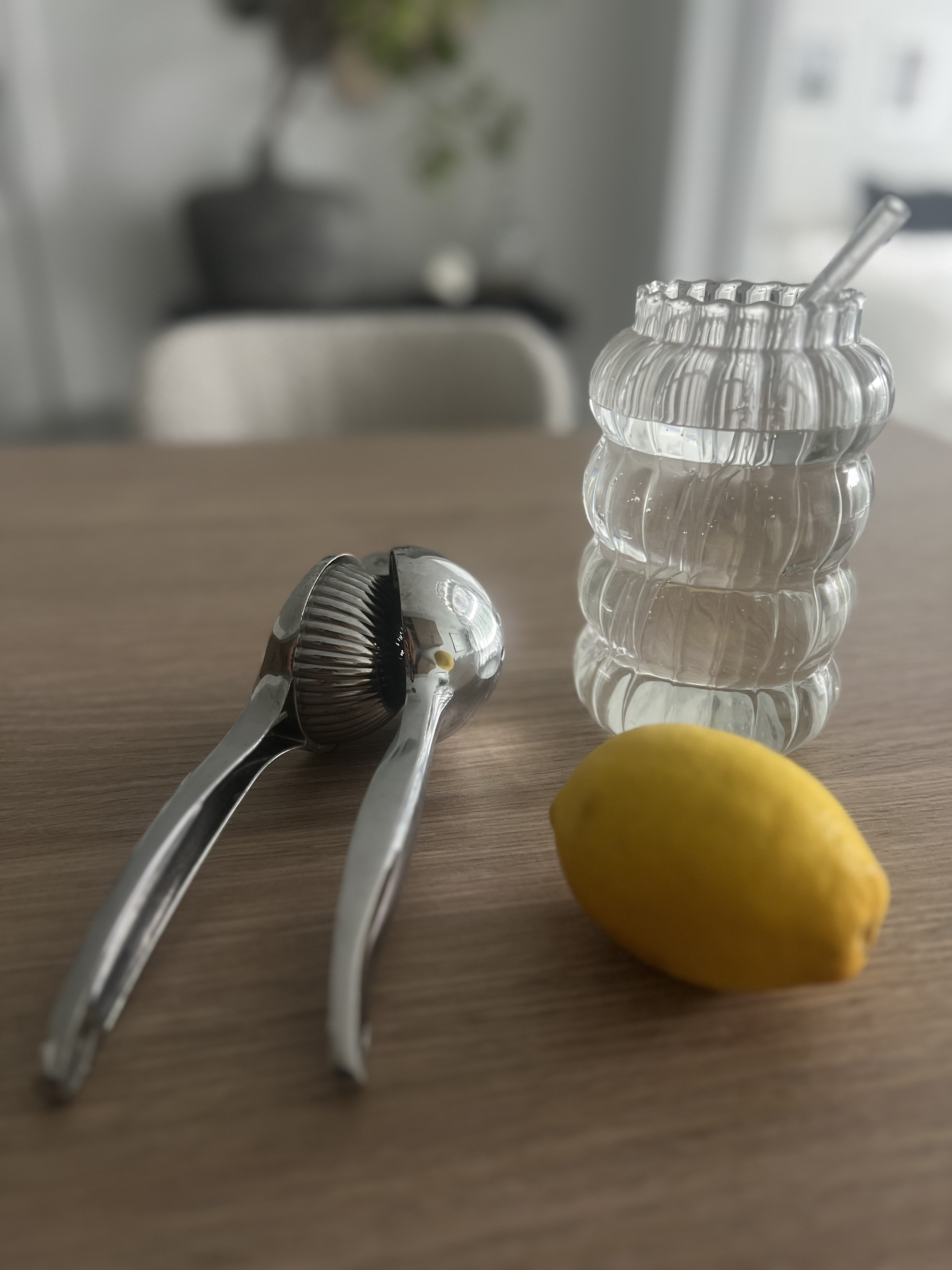 Stainless Steel Lemon Squeezer  thumbnail