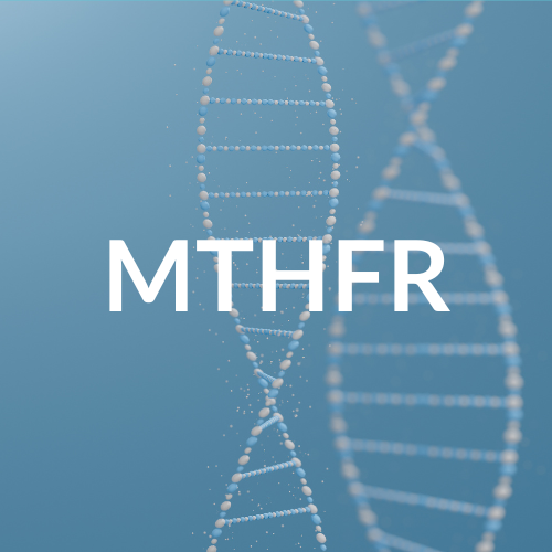 How to Determine Your MTHFR Status (Free Download) thumbnail