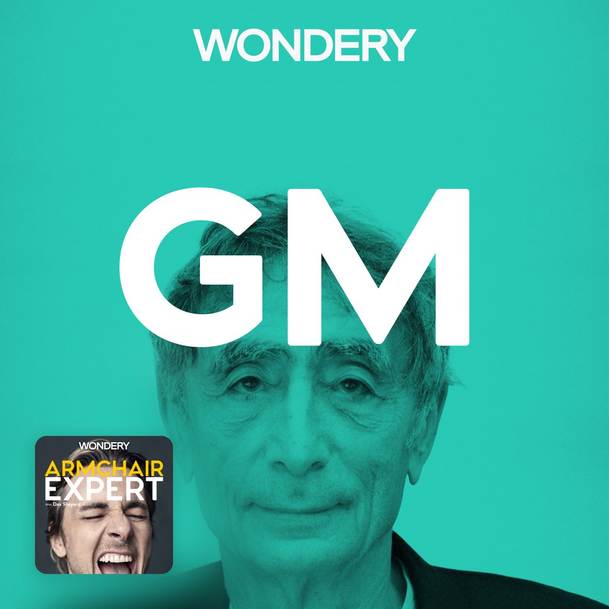 Gabor Maté (on trauma & addiction) thumbnail