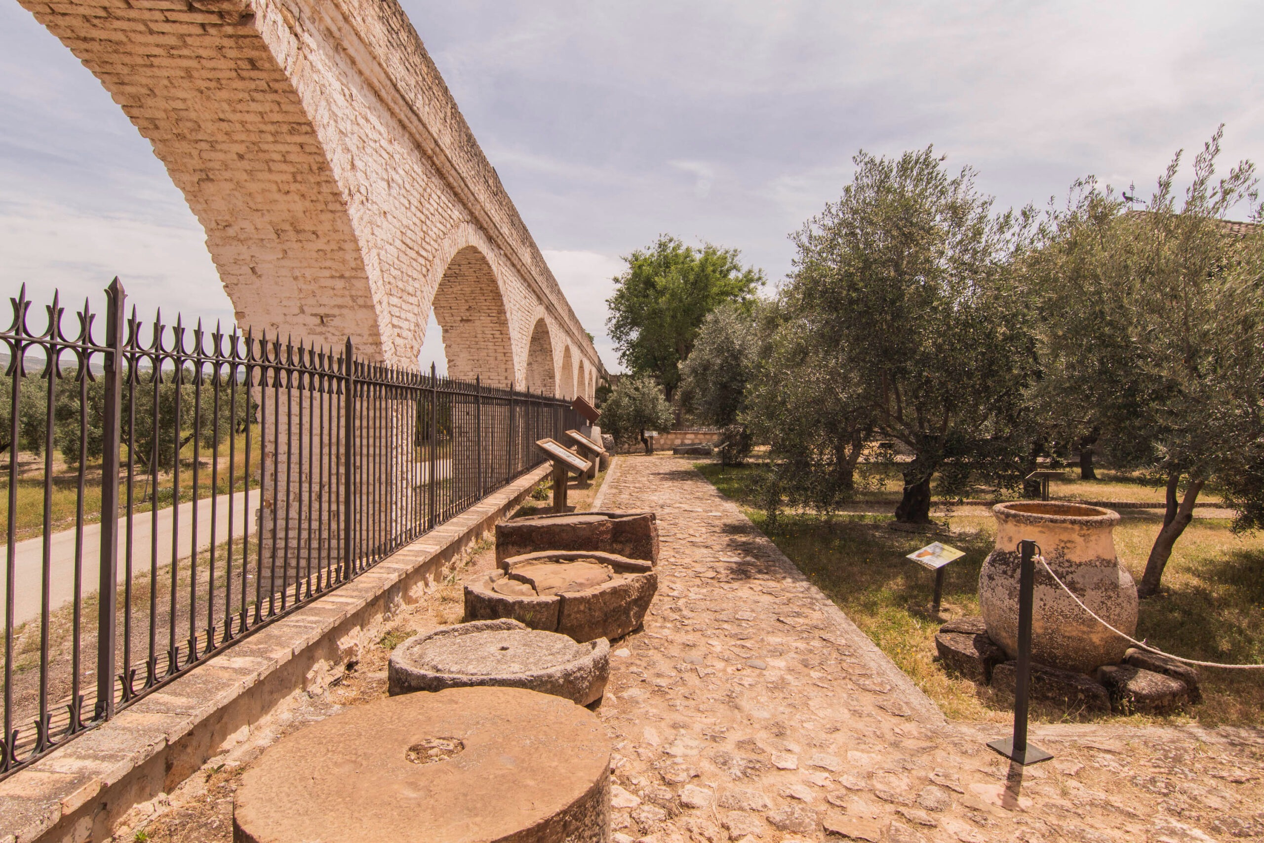 VALUTA UN ESPERIENZA OLEOTURISTICA! thumbnail